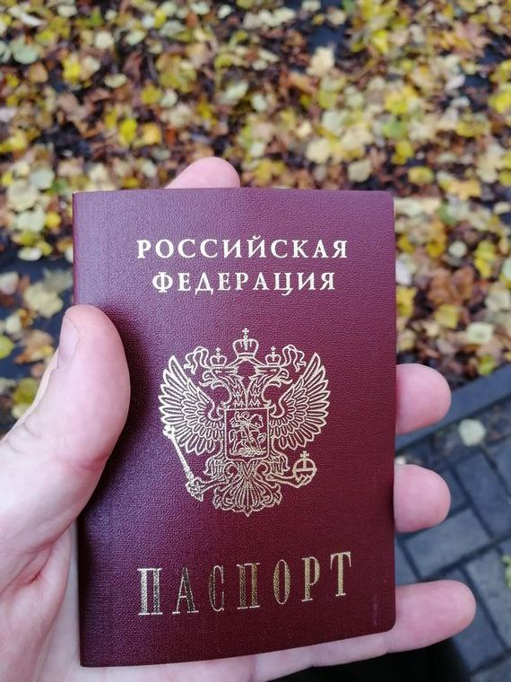 прописка в Ростове